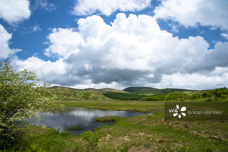 白梨盛开的雾峰八岛原湿地 日本长野县下诹访町图片素材