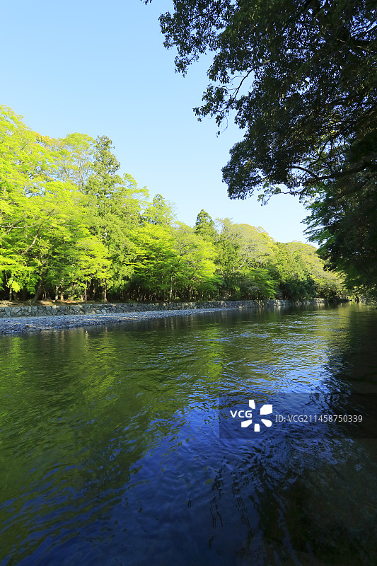 日本三重县伊势市伊势神宫内神社五十铃川图片素材