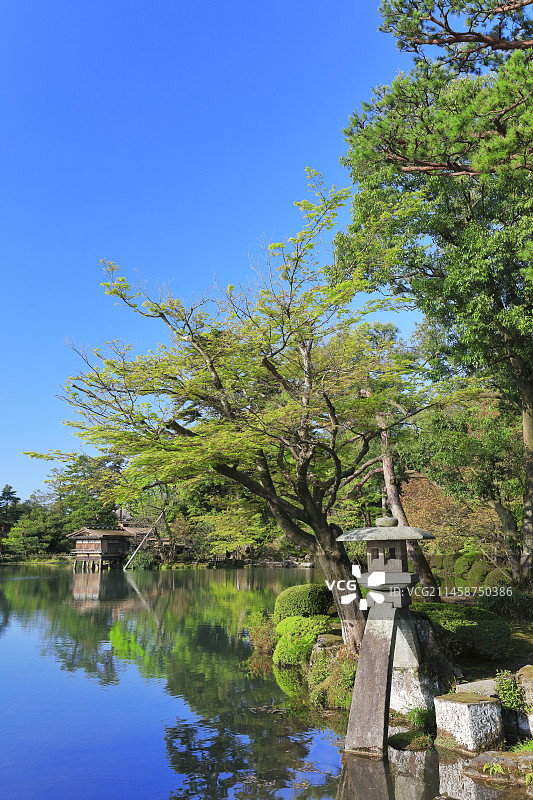 日本金泽兼六园霞之池图片素材