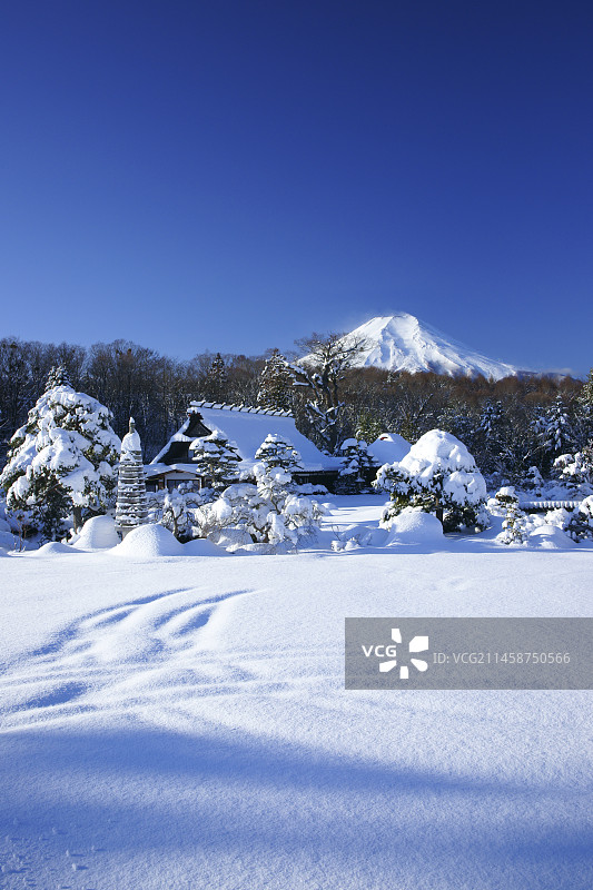 日本山梨县忍野村富士山雪景图片素材