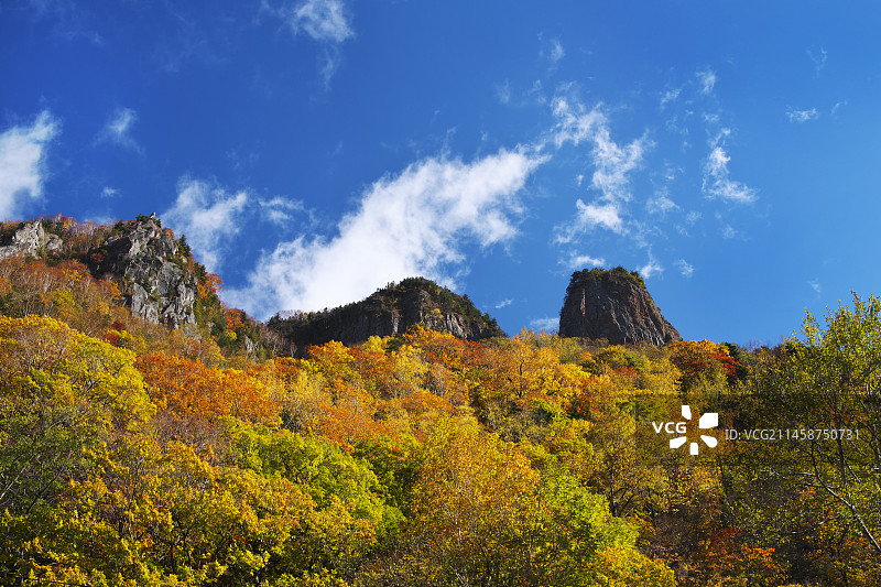 日本北海道层云峡的秋叶图片素材