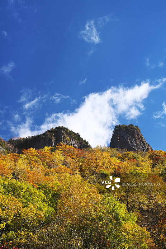 日本北海道层云峡的秋叶图片素材