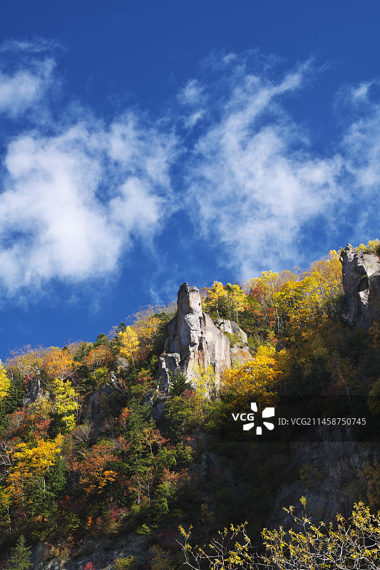 日本北海道层云峡的秋叶图片素材