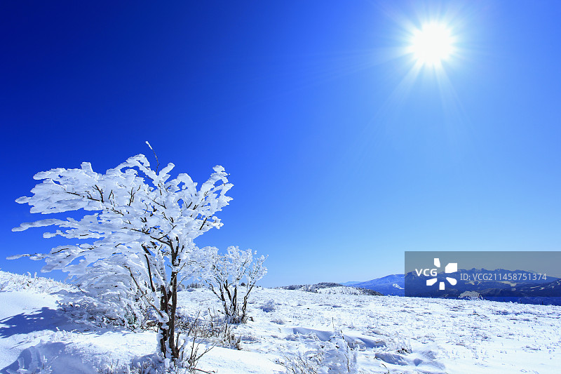 霜和冰、八岳山脉和阳光，日本长野县小县郡长和町图片素材