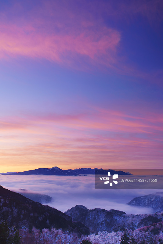 日本长野县美原高原的日出、八岳山脉、富士山和云海图片素材