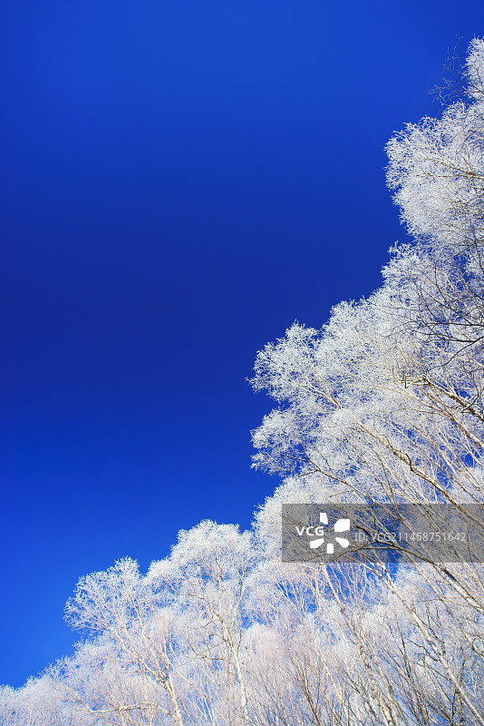 日本长野县茅县区落合桥附近的冰霜森林图片素材