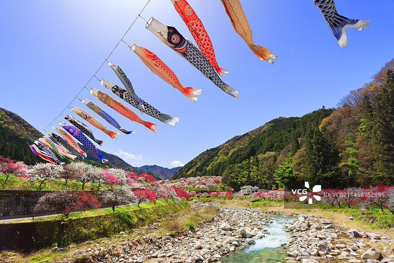日本长野县花桃之乡本谷川鲤鱼旗图片素材