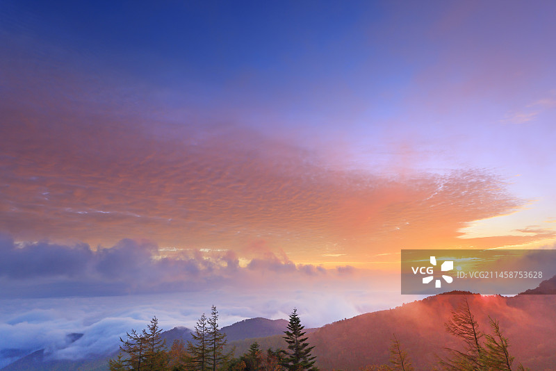 从美原高原眺望佐久方向的云海日出，位于日本长野县上田市图片素材