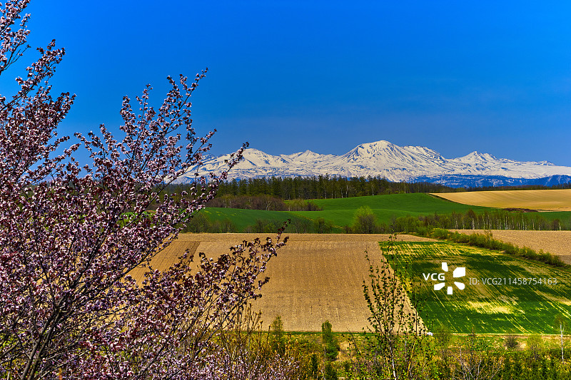 从富良野山口看到的日本北海道空知郡上富良野町旭岳图片素材