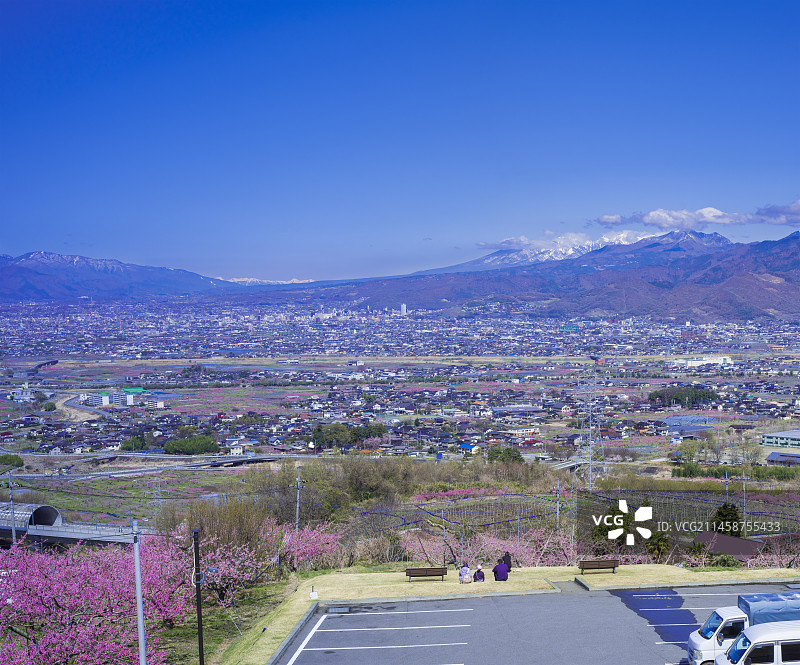 山梨县甲府盆地的桃花景观图片素材