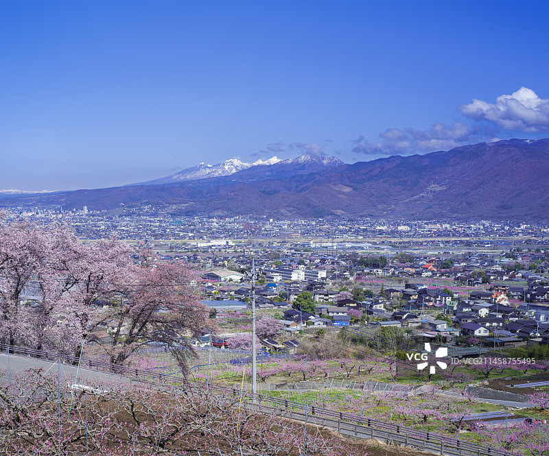 日本山梨县笛吹市八代故里公园甲府盆地樱花景观图片素材