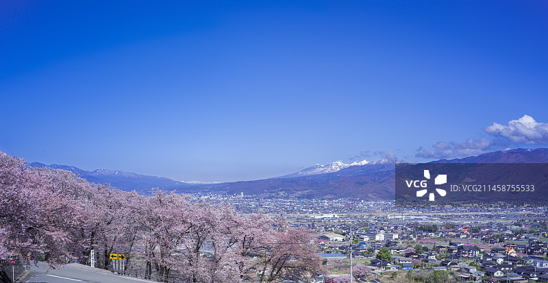 日本山梨县笛吹市八代故里公园甲府盆地樱花景观图片素材