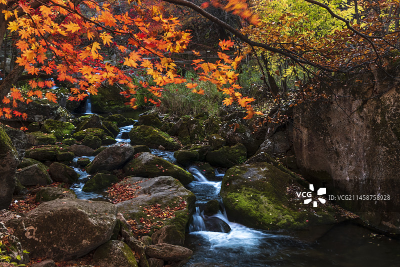 秋季老边沟图片素材