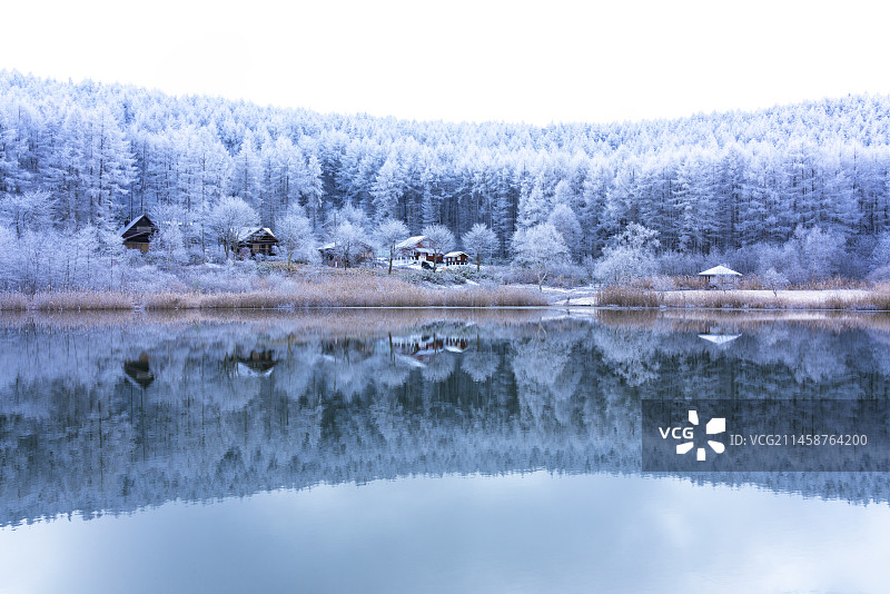 冬季的中牧湖图片素材