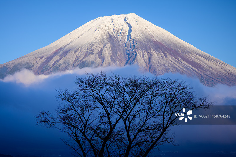 静冈县的富士山和云海图片素材