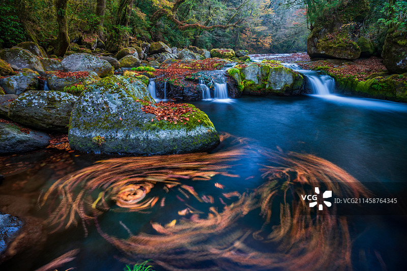 日本山口县萩市菊屋街图片素材