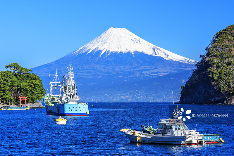 静冈县三保之松与富士山图片素材