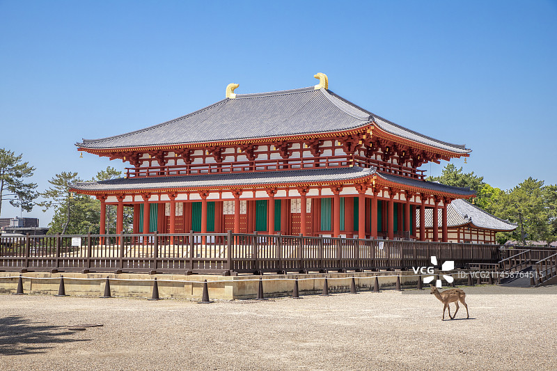奈良县兴福寺中金堂图片素材