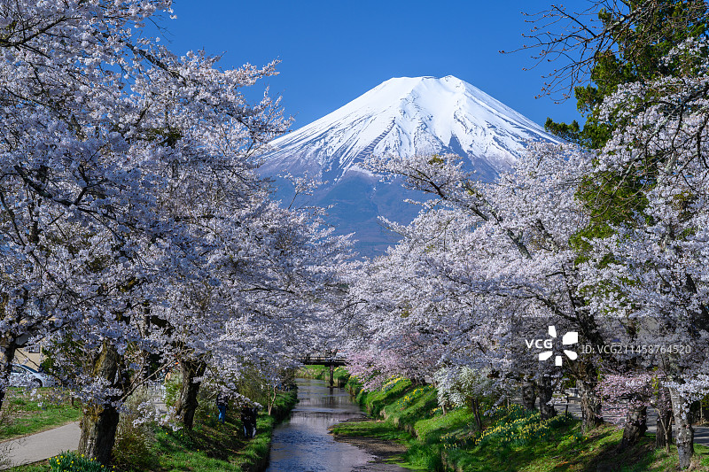 忍野村的新名庄川与富士山图片素材