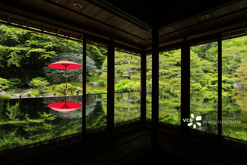 原竹林院图片素材