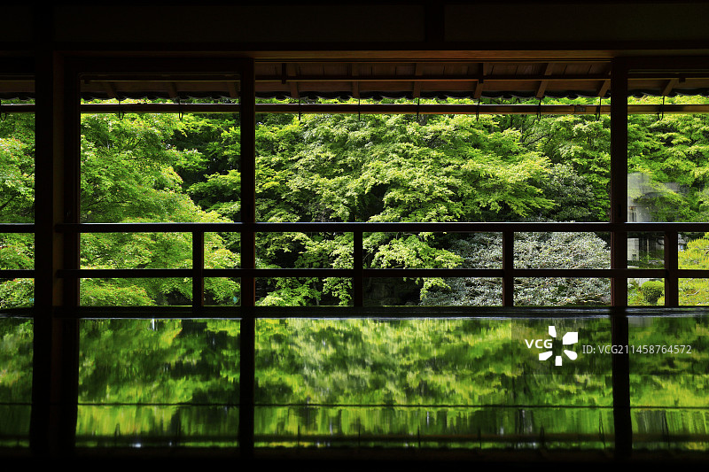 原竹林院图片素材