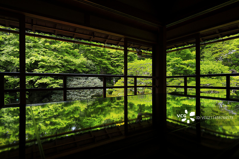 原竹林院图片素材