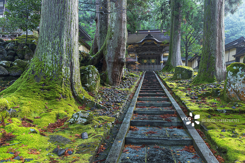 日本福井县树林中的寺庙图片素材