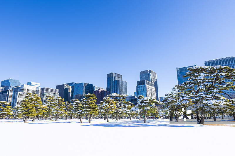日本东京皇居附近的雪景图片素材
