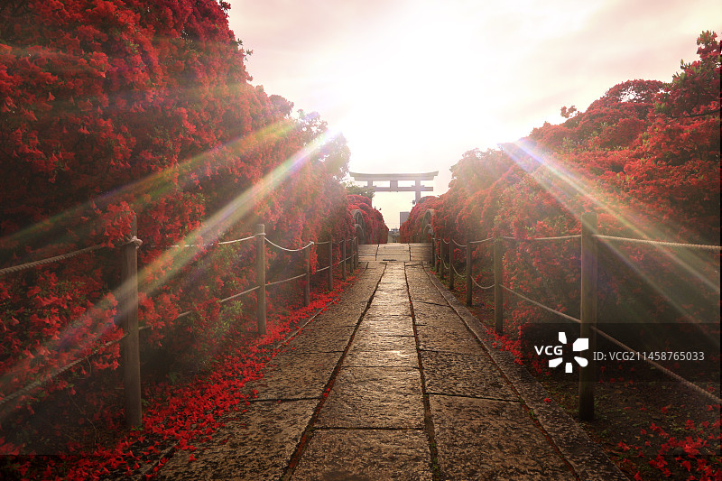 长冈天满宫（日本京都）图片素材