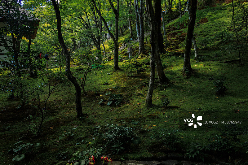 日本京都岚山的常寂光寺图片素材