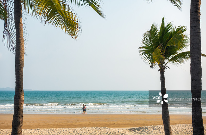 海南省三亚市三亚湾椰梦长廊图片素材