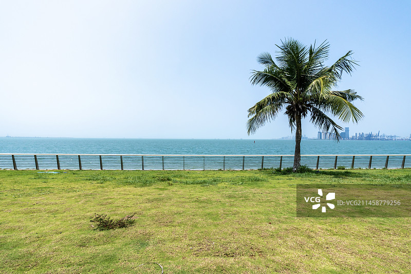中国海南省海口市滨海大道海边绿道风光带图片素材