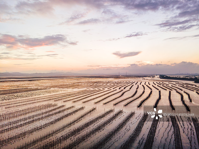 汕头牛田洋海水养殖基地和日落图片素材