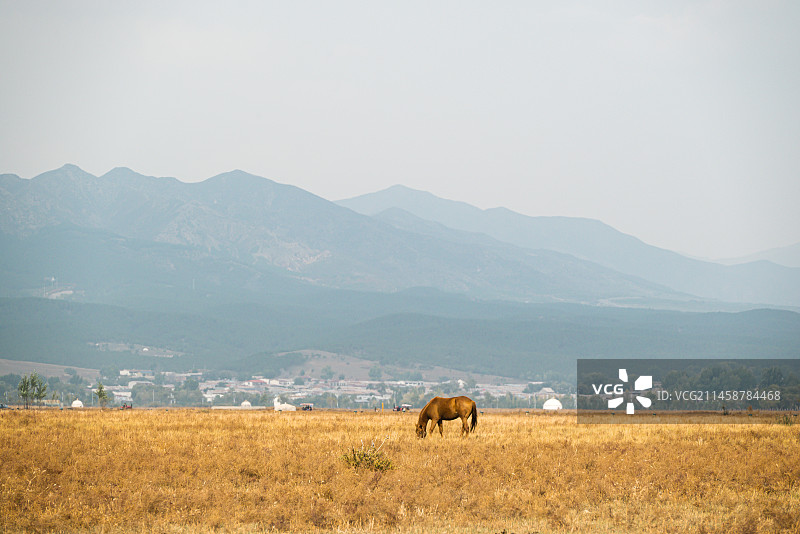 呼和浩特敕勒川草原图片素材