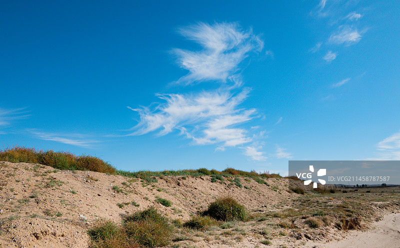 巴彦淖尔乌拉特中旗海流图生态园图片素材