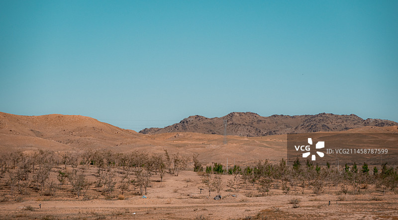 巴彦淖尔乌拉特中旗海流图生态园图片素材