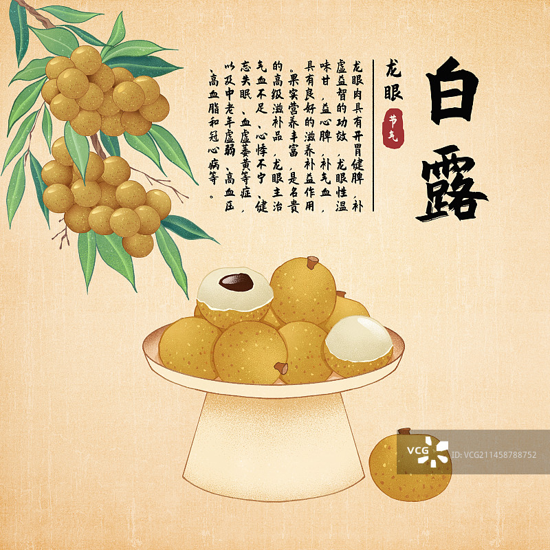 二十四节气白露美食龙眼桂圆插画模板海报图片素材