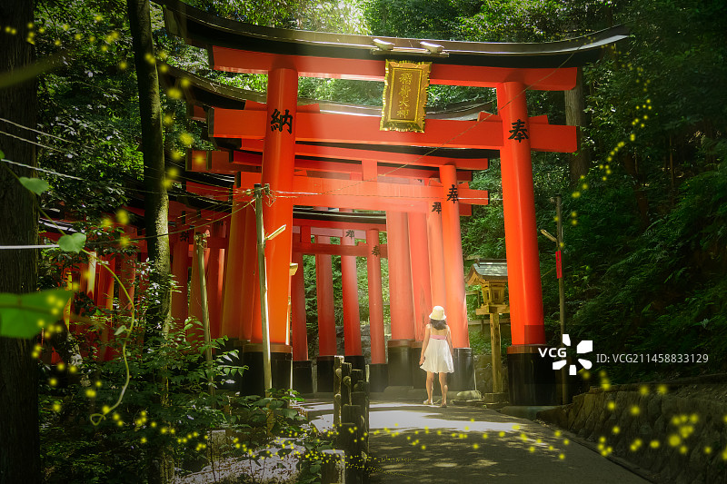 伏见稻荷大社图片素材