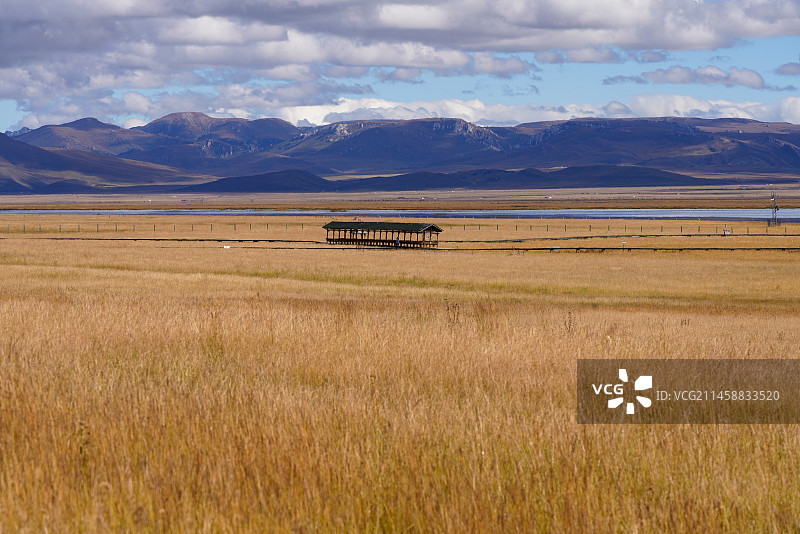 甘肃省 甘南藏族自治州 碌曲县 尕海湖图片素材