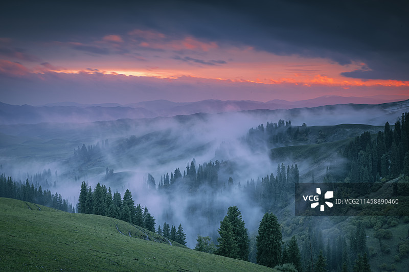 晚霞映松涛云海图片素材