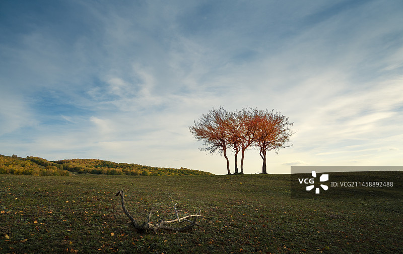 秋色高远图片素材