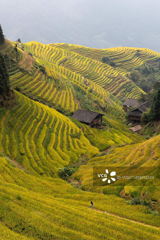 龙脊梯田-平安寨图片素材