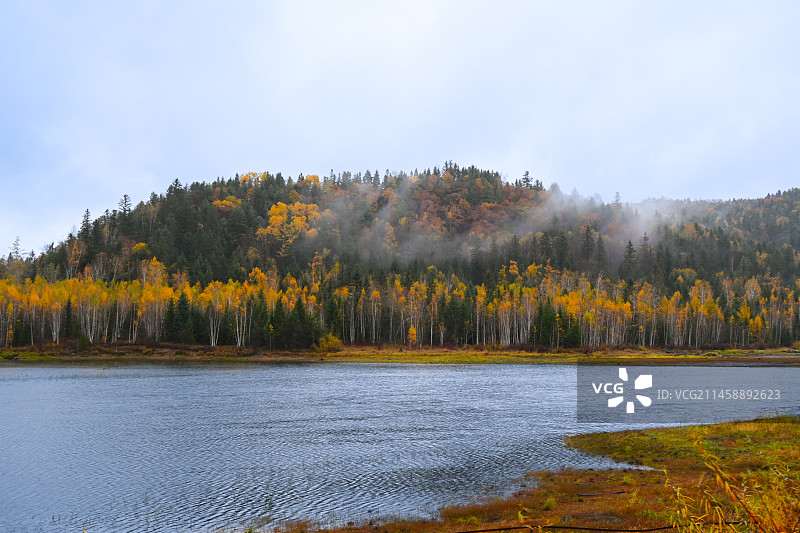 汤旺河奇石森林公园图片素材