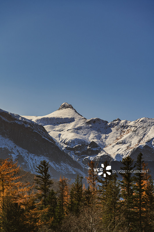 Changbai's Autumn图片素材