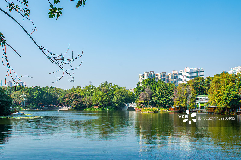 广州 荔湾区 荔枝湾 荔湾湖公园 公园园林景观 城市环境图片素材