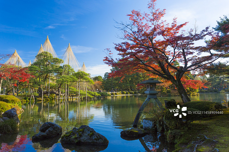 日本金泽兼六园霞之池与秋叶图片素材