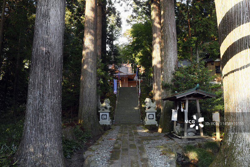 11月末秋末须山浅间神社-富士世界遗产，日本静冈县裾野市图片素材