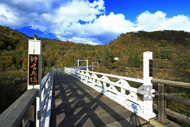 日本旭川市北海道神居桥秋叶十月图片素材