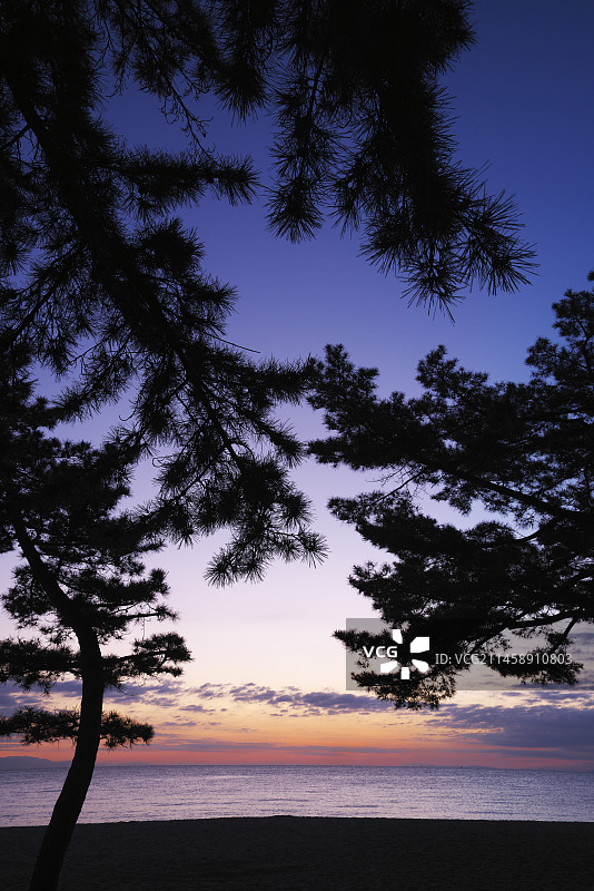 日本兵库县洲本市大滨公园的早晨图片素材