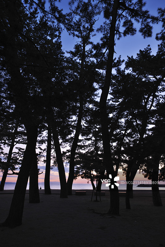 日本兵库县洲本市大滨公园的早晨图片素材